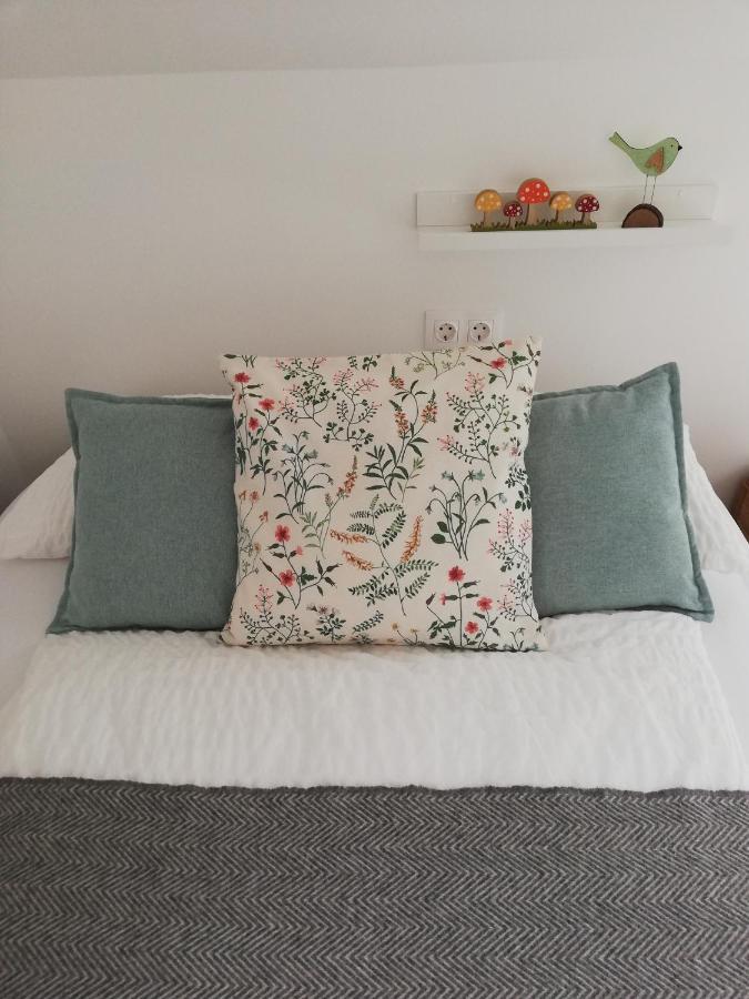 Zoeld Terasz Vendeghaz Apartament